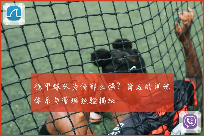 德甲球队为何那么强？背后的训练体系与管理经验揭秘